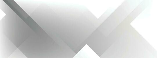 Banner background. White and gray gradation. Pattern. Abstract . Colorful. Modern vector