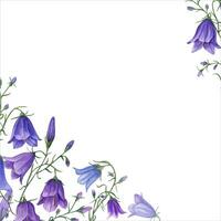 Square frame with bells. Blue lilac campanula. Botanical painting Watercolor illustration. vector