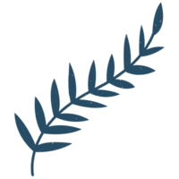 AI generated a leaf icon on a transparent background png