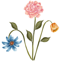 AI generated three different flowers on a transparent background png