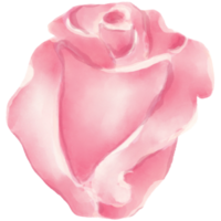 AI generated a pink rose on a transparent background png