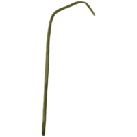 AI generated a stick with a long, green stem on it png