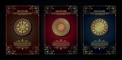 luxury cover background with mandala texture vector