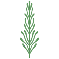 AI generated a green plant on a transparent background png