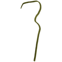 AI generated a stick with a long handle on it png