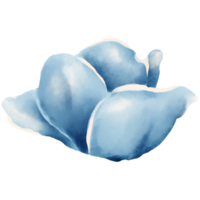 AI generated blue flower clipart png