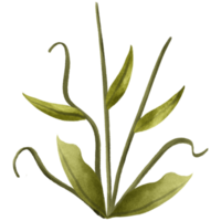 AI generated watercolor illustration of a plant with leaves png