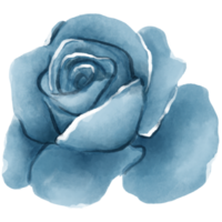 AI generated blue rose watercolor clipart png