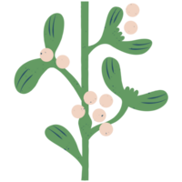 AI generated mistletoe plant clipart png