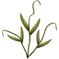 AI generated a plant with green leaves on a transparent background png