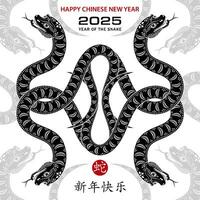 Happy Chinese new year 2025 Zodiac sign, year of the Snake vector