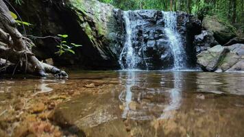 tranquille cascade oasis dans luxuriant forêt video