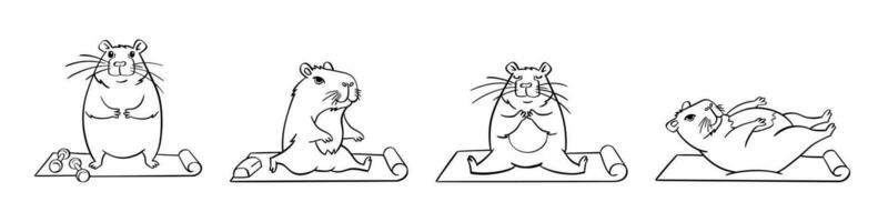 A cute capybara does yoga. Vector illustration hand drawn. For coloring books, postcards, templates.