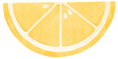 Watercolor illustration of lemon slice. png