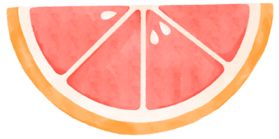 Watercolor illustration of grapefruit slice. png