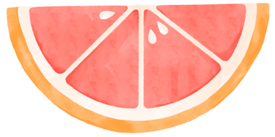 aguarela ilustração do Toranja fatiar. png