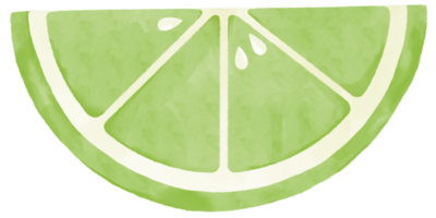 Watercolor illustration of lime slice. png