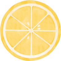 aquarelle illustration de citron tranche. png