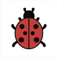 Vector colorflat  illustration of a ladybird.