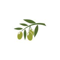 aceituna logo vector modelo símbolo elemento naturaleza