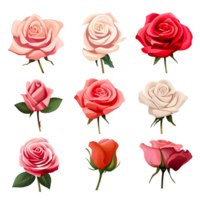 ai generado romántico rojo Rosa en lleno floración símbolo de amor y pasión hermosa flor pétalos para Boda png