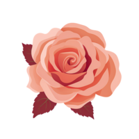 AI generated Romantic Red Rose in Full Bloom Symbol of Love and Passion  Beautiful Flower Petals for Wedding png