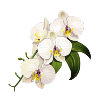 ai généré botanique élégance délicat orchidées mettant en valeur la nature dynamisme dans étourdissant floral arrangements png
