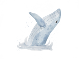 Blue whale drawing in watercolor isolated on background png