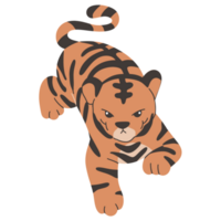 Cute tiger illustration png