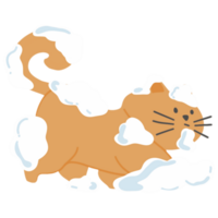 Katze Baden mit Seife png