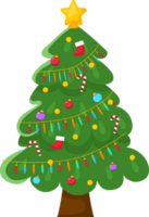kerstboom illustratie png