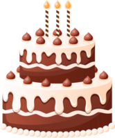 Chocolate Birthday Cake With Candle png