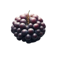 AI generated Isolated bunch of grapes Transparent Background, PNG Format, Generative AI