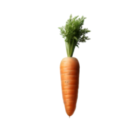 AI generated Isolated carrot Transparent Background, PNG Format, Generative AI