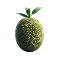 AI generated Isolated jackfruit Transparent Background, PNG Format, Generative AI