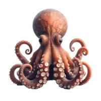 Isolated octopus animal on a transparent background, PNG Format