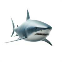 Isolated Shark animal on a transparent background, PNG Format