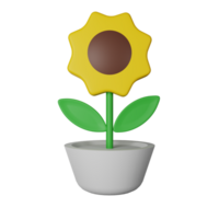 girasol 3d icono ilustración png