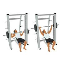 Man doing smith machine incline bench press exercise. vector