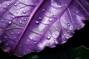AI generated Glossy Macro purple leaf water drops. Generate Ai photo