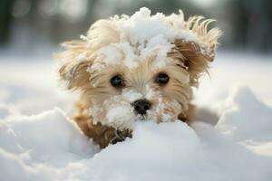 AI generated Stylish Dog winter snow. Generate Ai photo