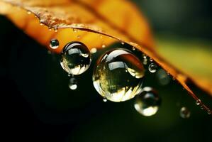 AI generated Serene Macro drops nature. Generate Ai photo