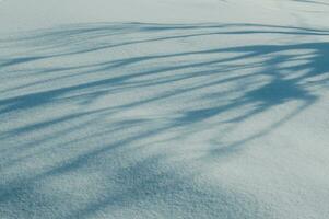 Snow texture with beautiful blue long shadows photo