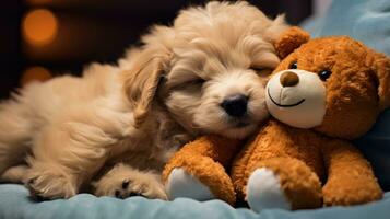 AI generated Cute dog sleeps on a soft pillow. The puppy sleeps in an embrace with soft toy photo