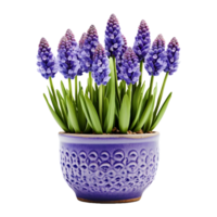 ai généré magnifique vert fleurs dans une métal d'or pot sur transparent Contexte - ai généré png