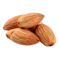 AI generated Almond Nuts on Transparent background - Ai Generated png