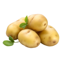 ai genererad potatis med löv på transparent bakgrund - ai genererad png