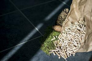 Fir pellets kraft bag with apple and pine needle photo