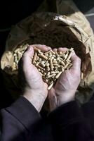 Man's hands holding fir pellet above a kraft bag photo