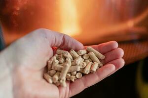 Hand holding pellets in front of the glass of a stove with a beautiful flame photo